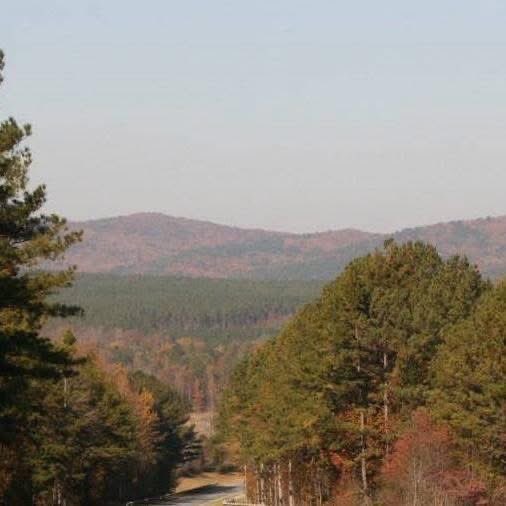 Old Salty Marine tweet media