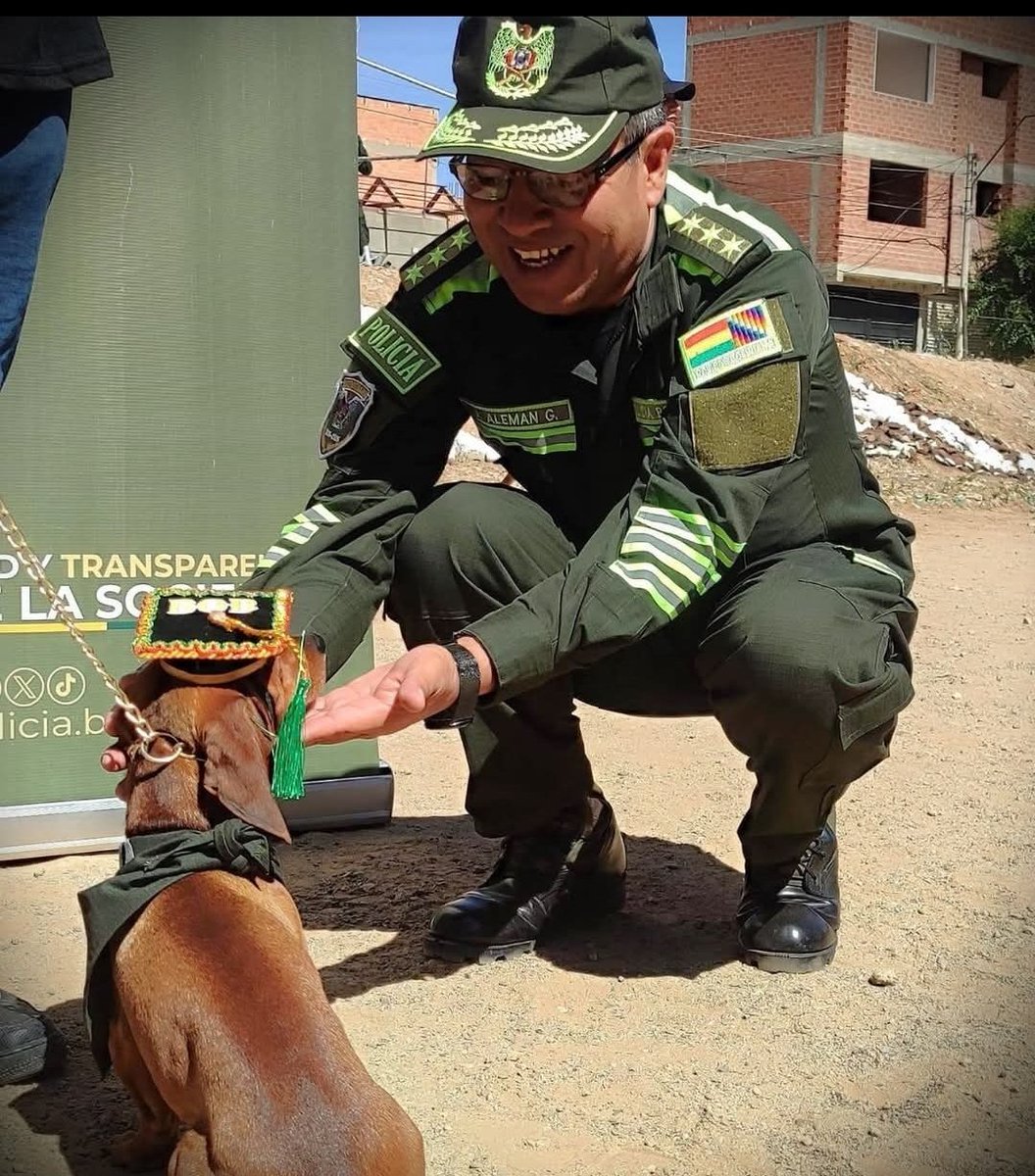 tanlogico's tweet photo. Noticias que inspiran

Un perro salchicha se graduó en el Curso de Adiestramiento en Oruro. 

https://t.co/oLds2w1ApF https://t.co/vZNiiKgcsm