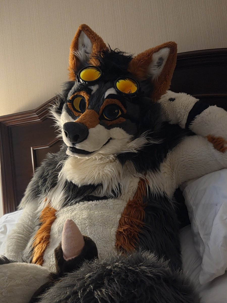 samizzleman tweet media