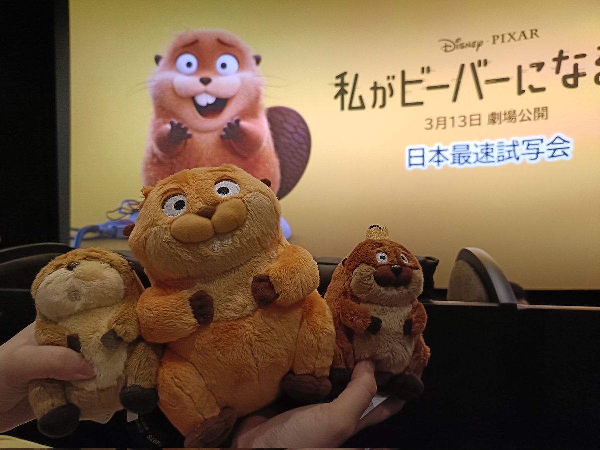 ayapipanda's tweet photo. 昨日は新宿まで「私がビーバーになる時」の最速試写会に参加してきました！その前に銀座三越でぬいぐるみを購入して、映画館でお隣になった方と3体揃って記念撮影したよ。映画はビーバーたちが可愛くて❤公開されたらもう一回観たいです🦫🥔
#わたビバでフィーバーキャンペーン  #私がビーバーになる時 https://t.co/OgrvOpPsjz