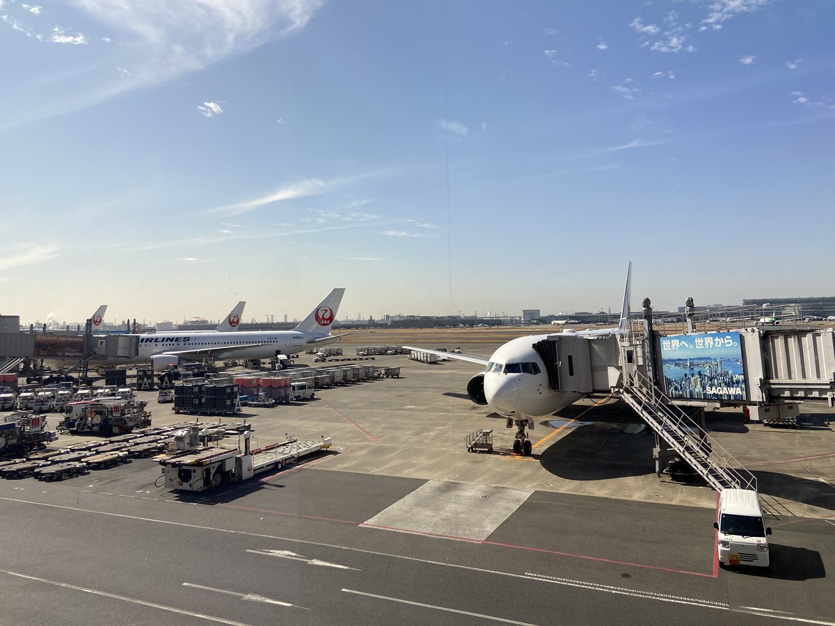 nichicon 𝕏 tweet media