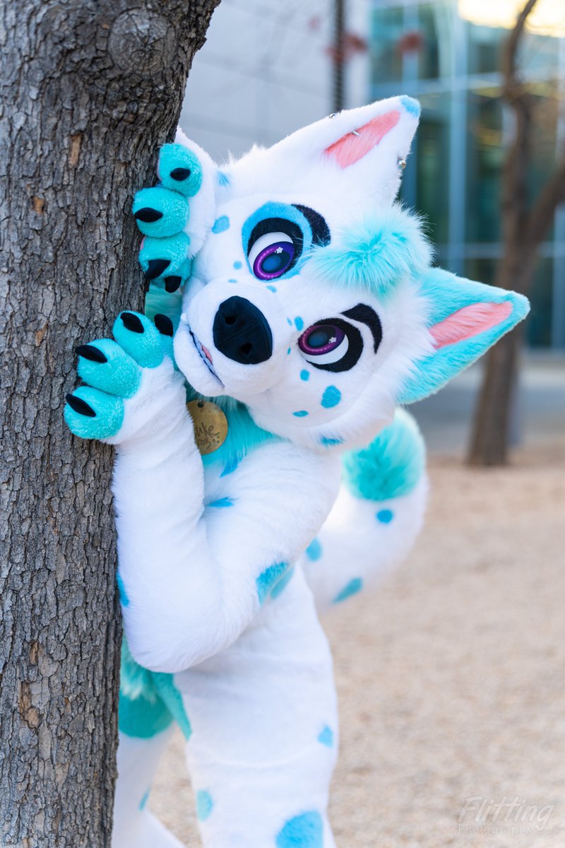 Luke Spots 🔜 FWA DD tweet media