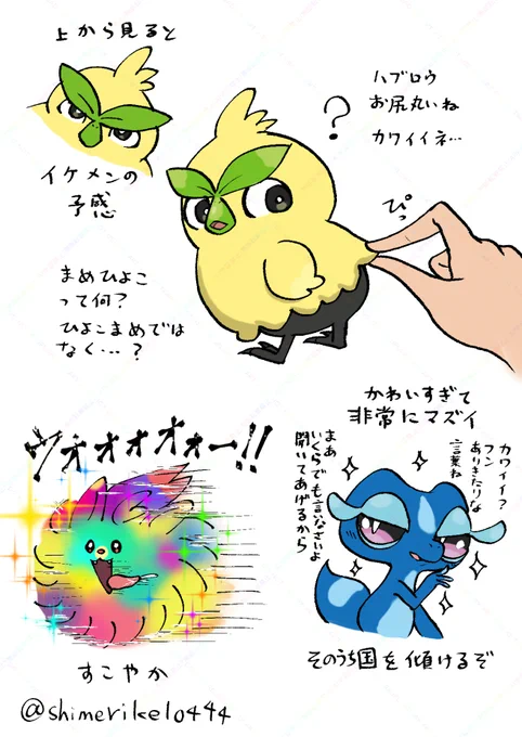 新御三家チャン
カワイイネ… 