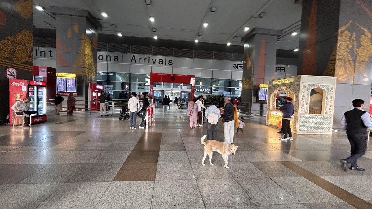 chatarup's tweet photo. Landed at Delhi Terminal 3. Immigration, baggage, and a stray dog reminding you who really runs this place. 🐕 ⁦⁦@DelhiAirport ⁦⁦@DGCAIndia⁩  ⁦@tourismgoi⁩ https://t.co/YM08GNhIEC