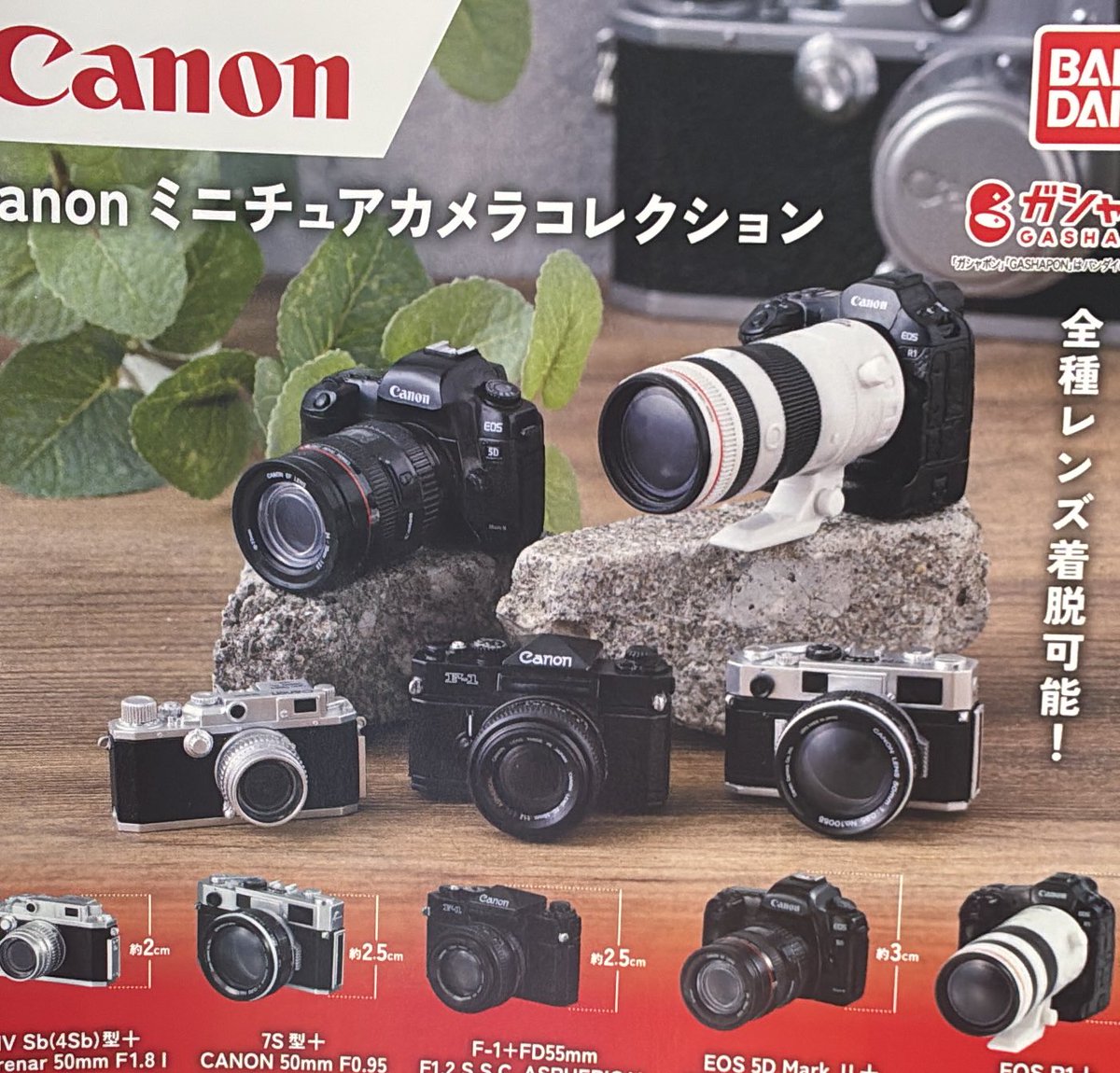 🚃2月28日(土)完売情報🚃 🎩canon ミニチュアカメラコレクション 以上