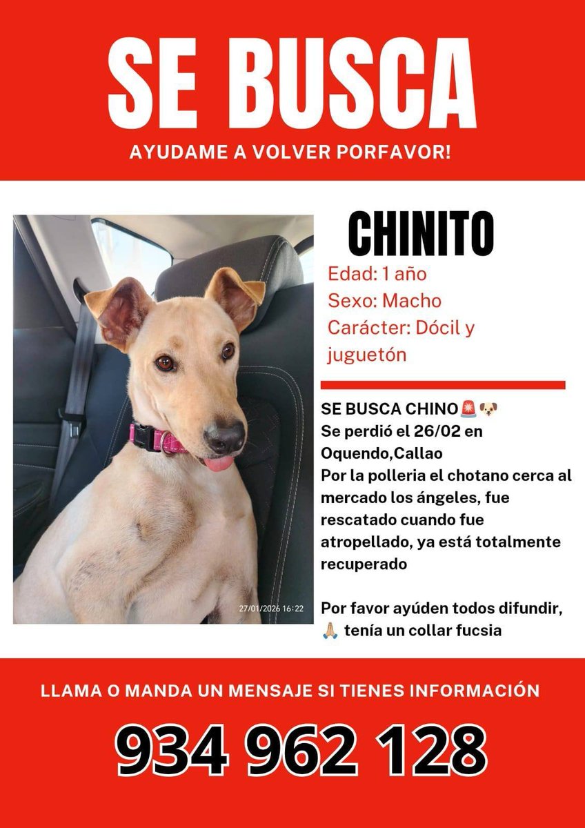 Callao Noticias tweet media