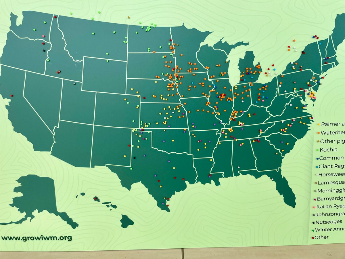 GROW.IWM tweet media