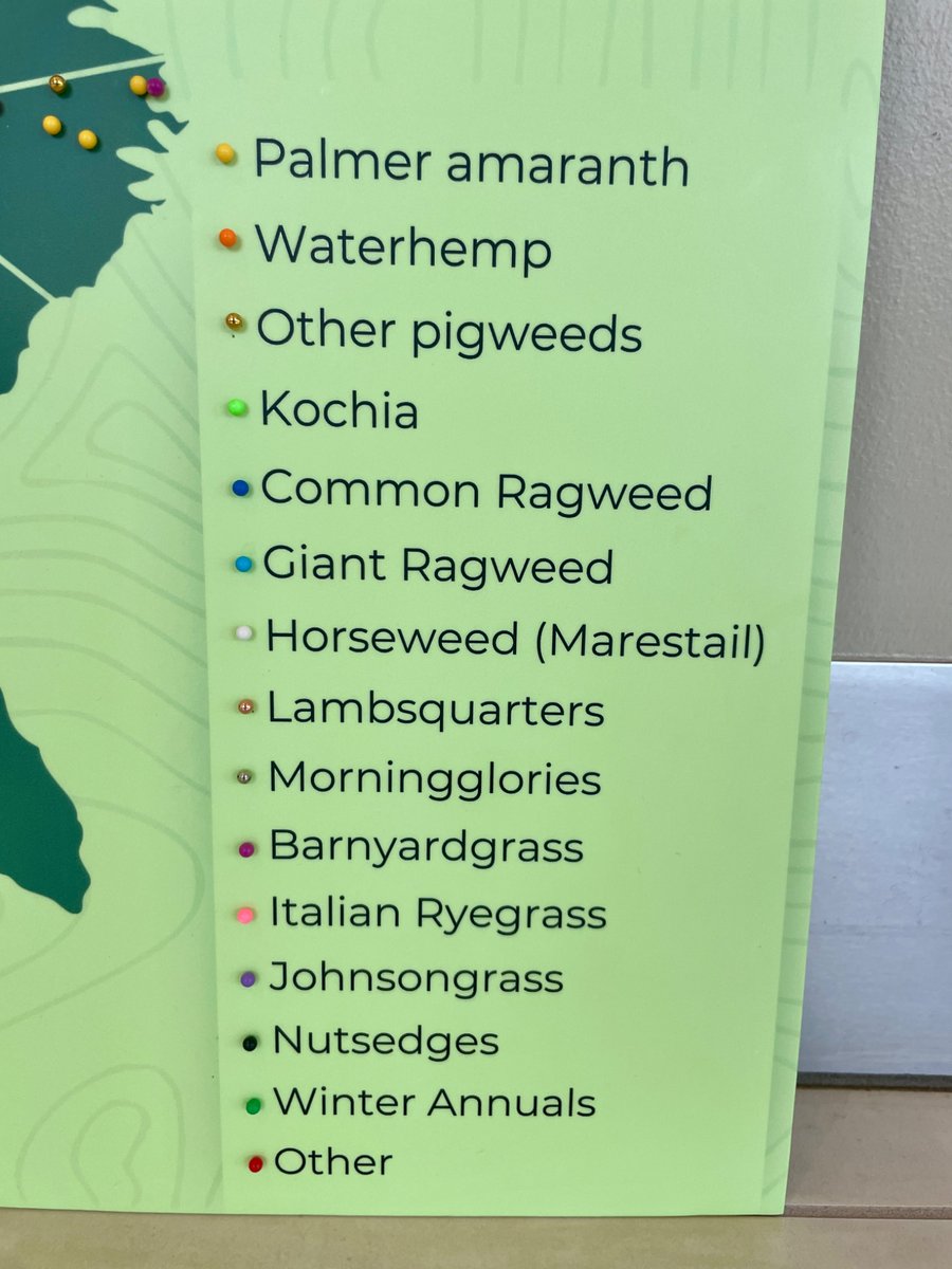 GROW.IWM tweet media