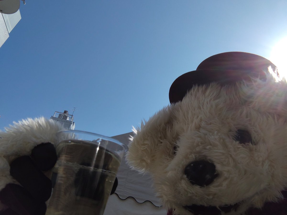 呑んべぇくまさん、可愛い🤣