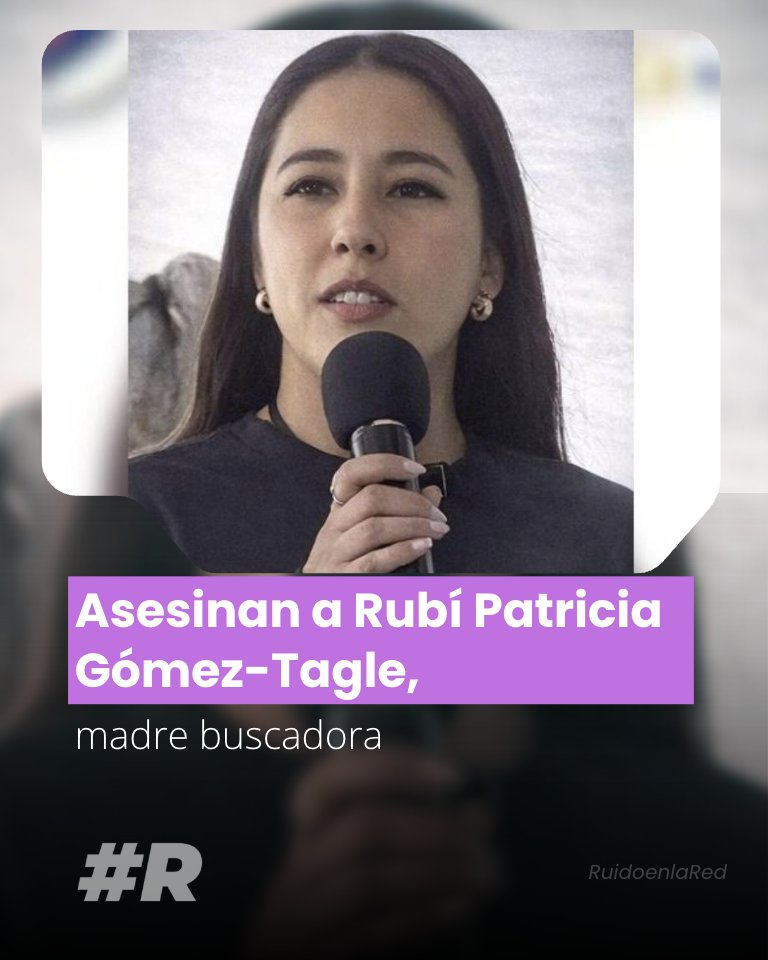 Ruido en la Red tweet media