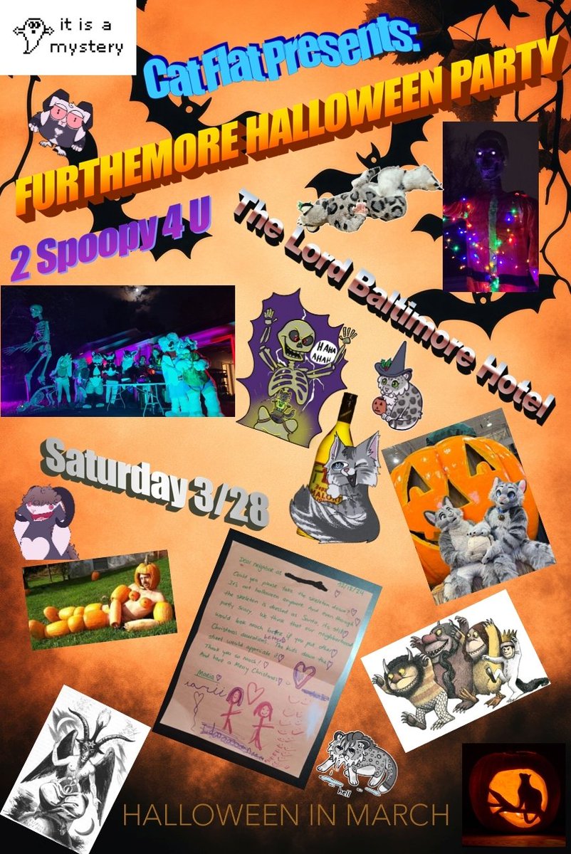 Whiskers Cat tweet media