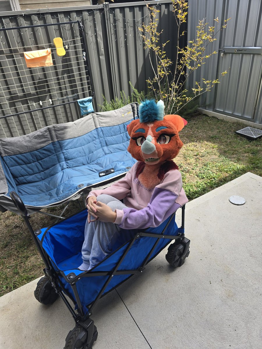 Ajax :D 🔜 MFC, Furdu26 tweet media