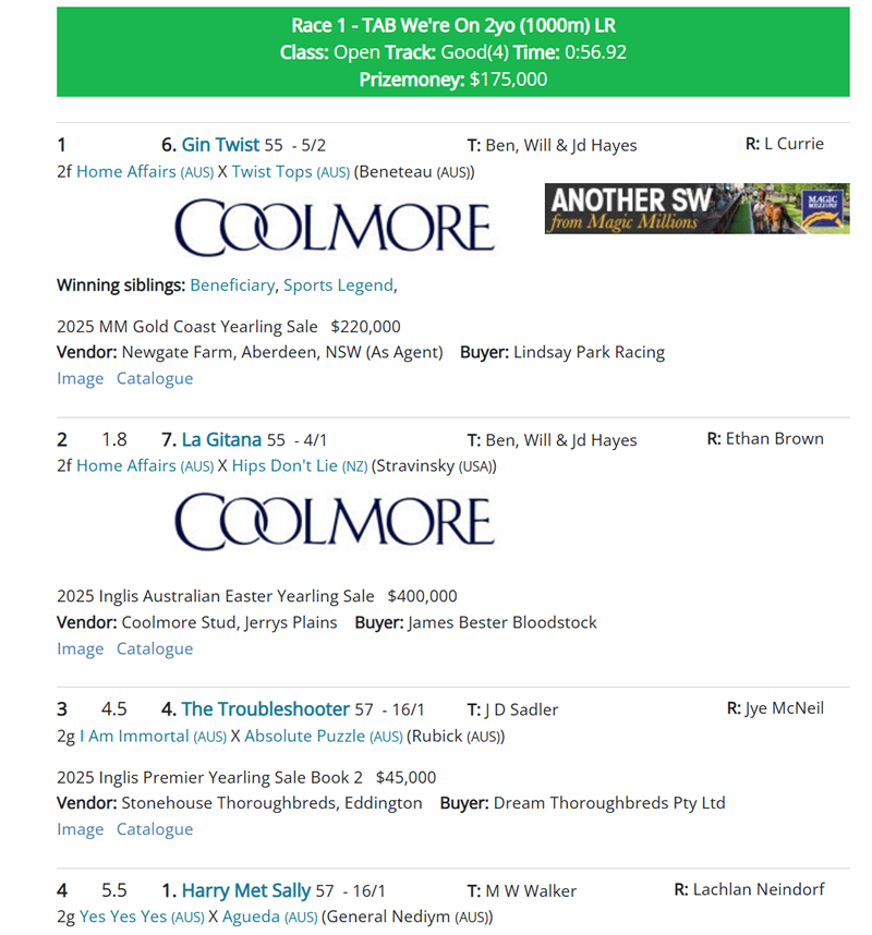 breednet's tweet photo. 220k MM purchase from Newgate , Gin Twist not for catching at Flemington - new SW for Home Affairs and a stakes quinella! https://t.co/gnipiMrMGA @CoolmoreAus @lindsayparkrace @mmsnippets @NewgateFarm https://t.co/TG4lMybCQA