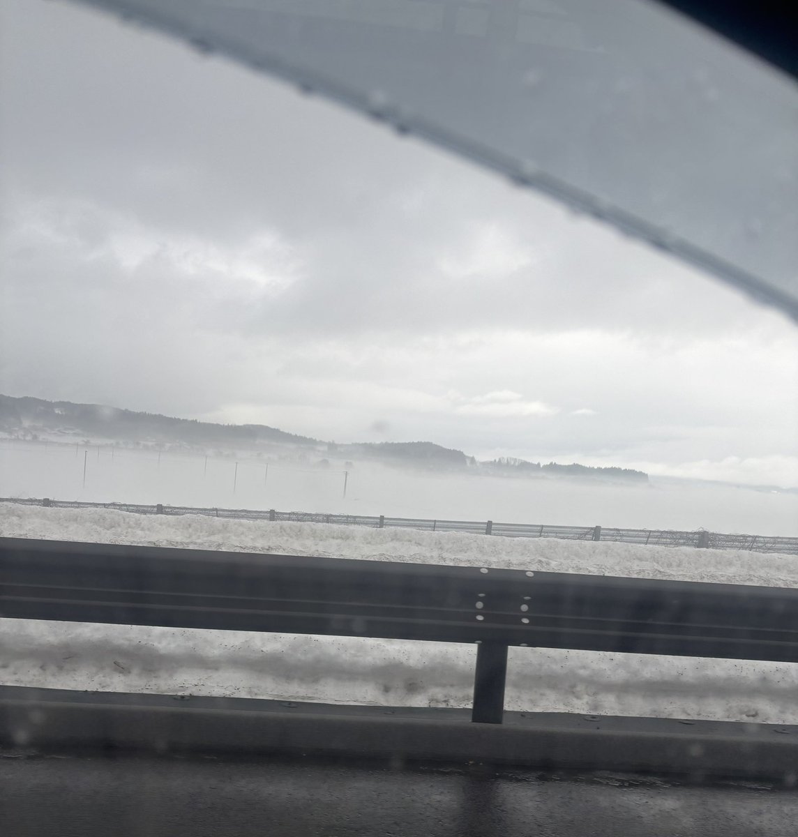 今日は東へー。

キリがすごくて、よく見えない💦