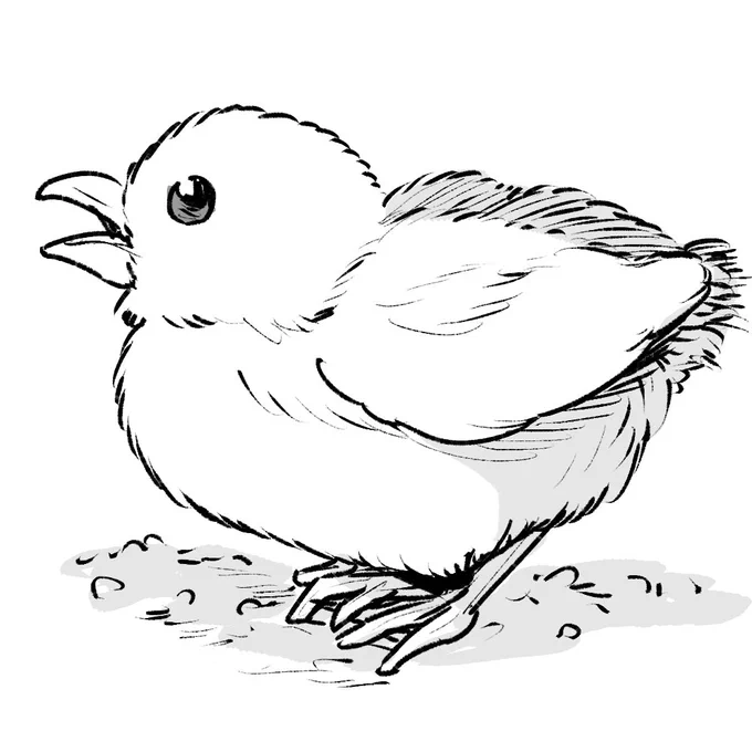 ひよこさん描いた🐥 