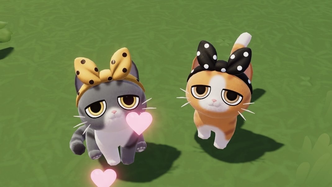 𝖻𝗈𝗇𝗎 tweet media