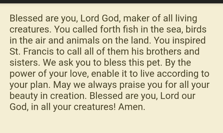 WizardsWife33's tweet photo. @ElinaMia34 St. Rocco please pray for Matilda! And all the suffering pets . God bless Asher in all he does. https://t.co/8NhFFGdPLD