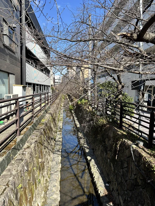 武蔵小杉でお散歩