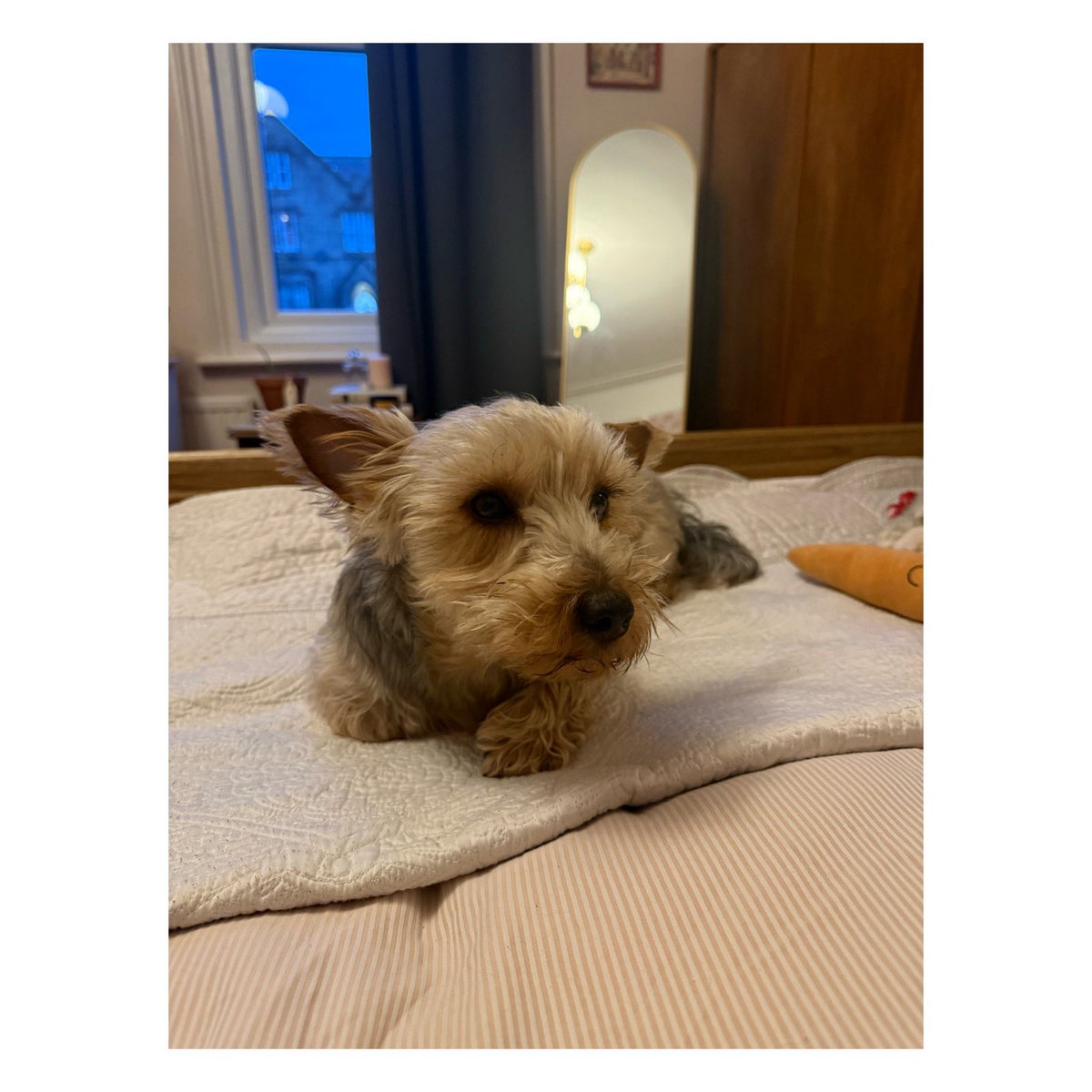 Chloe East tweet media