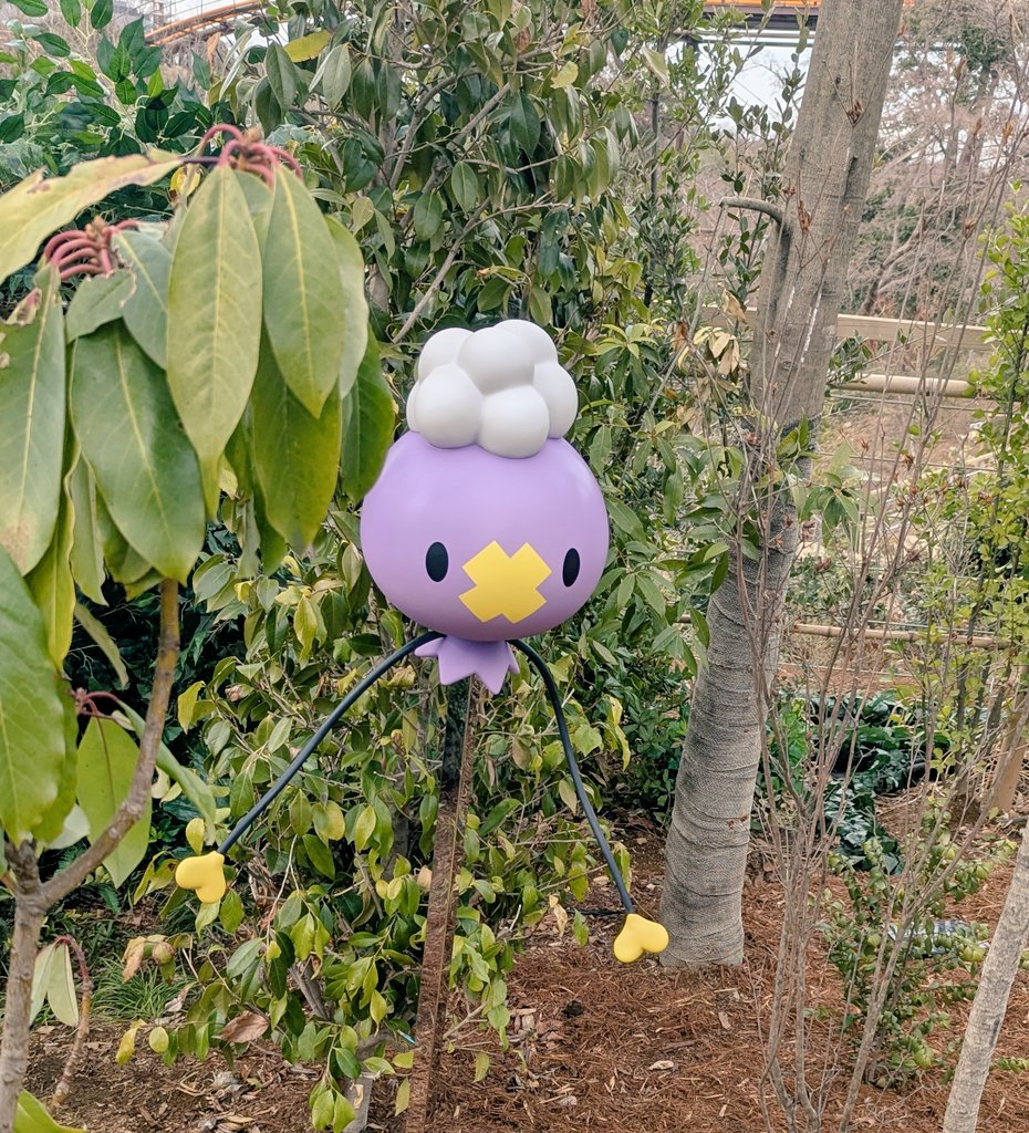 my_P_er's tweet photo. ポケモンデーにポケパークカントー行けてラッキー
金曜やからフワンテにも会えた https://t.co/W0IAznLVwn