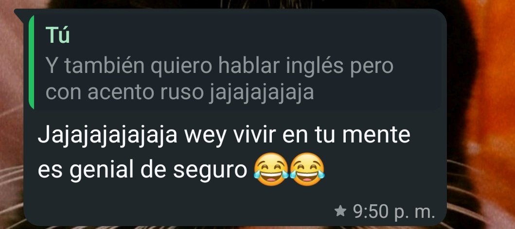MayteManzano8's tweet photo. Por cierto,el mejor cumplido que me han dado https://t.co/PnjOFm9KlA