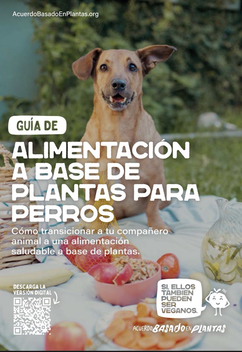 Una dieta basada en plantas, bien formulada, puede cubrir las necesidades nutricionales de los perros, reducir alergias y tener menor impacto ambiental. No es moda, es cuestionar lo establecido con evidencia. 
#PBT #ABP

plantbasedtreaty.org/es/