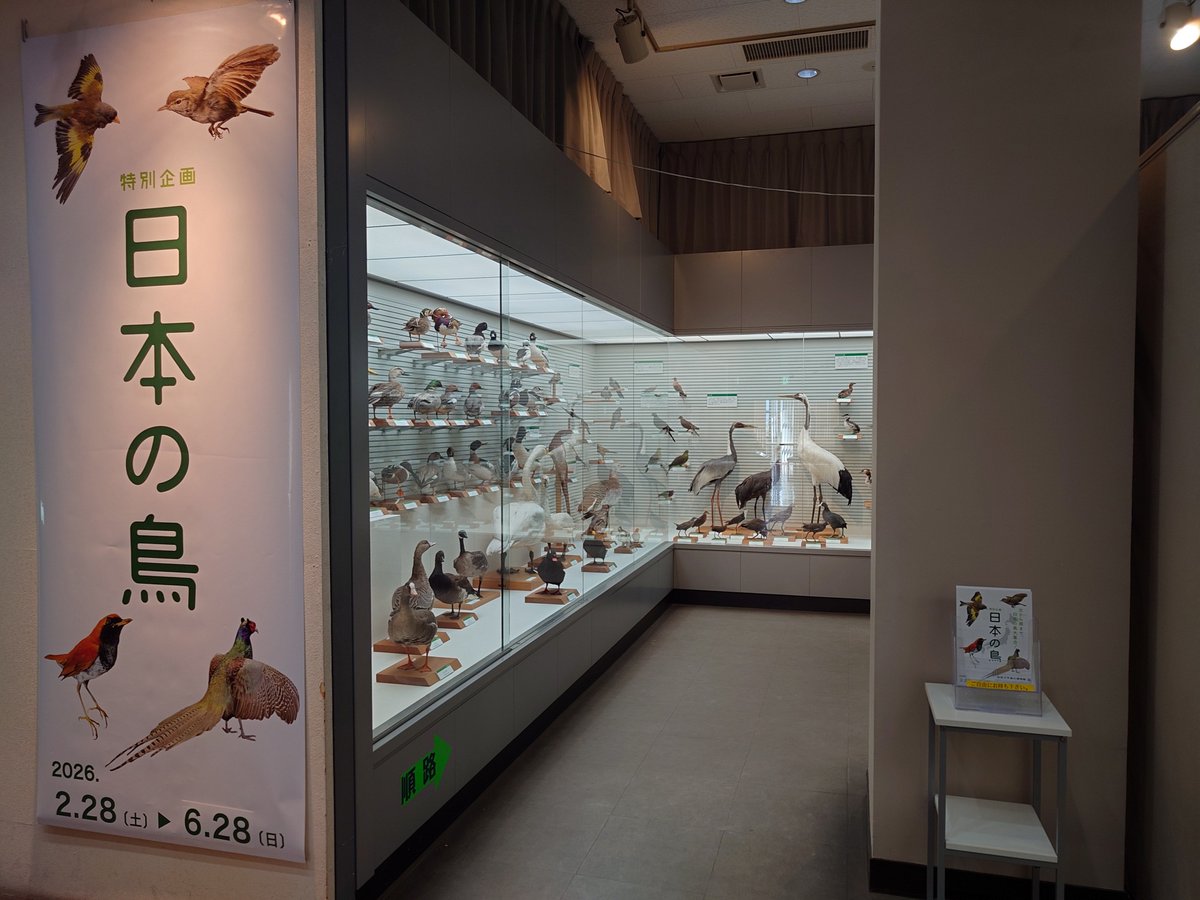 これも行ってみたいな