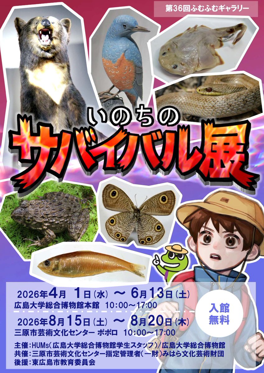 hirog_humuseum's tweet photo. 【 #イベント情報 】
4月1日(火)より、第36回ふむふむギャラリー「いのちのサバイバル展」を開催いたします。
また、この日より博物館本館を新装開館いたします。
装いを新たにした本館とあわせてお楽しみください👀✨
https://t.co/1FcrREak5A

#広大博物館 #ふむふむギャラリー https://t.co/8GlS3aJUBU