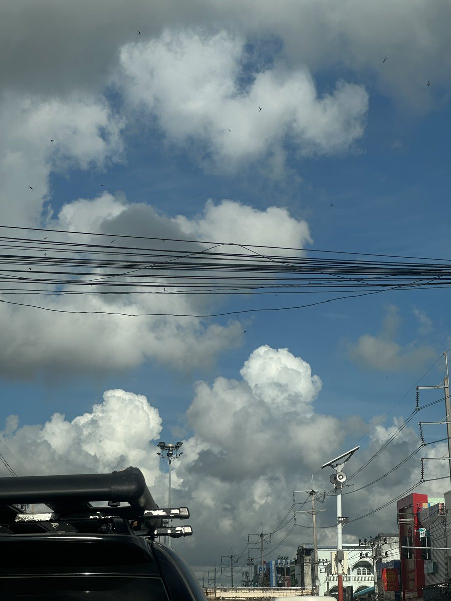 Bom 🏕️ tweet media