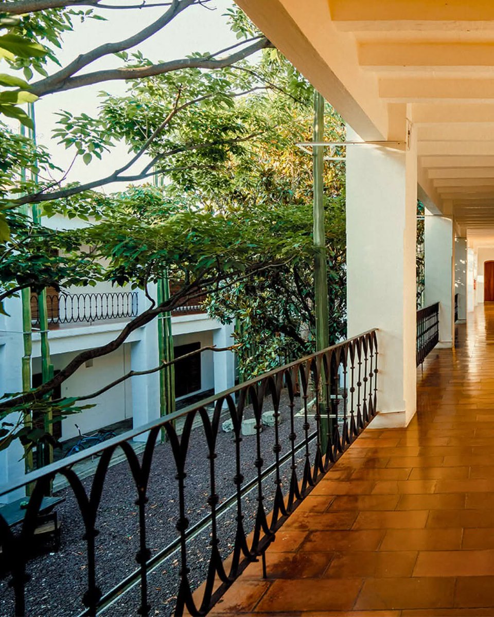 Oaxaca se vive con arte, diseño y esencia.
Hotel AZUL + Galeria 

🖼 Arte y galería
🛏 Diseño con identidad
📍 Ubicación privilegiada en el corazón de Oaxaca

¿Ya conoces este Tesoro de México? ✨

#TesorosDeMéxico #HotelAzulOaxaca #OaxacaMéxico #HotelesBoutique #ArteYViaje