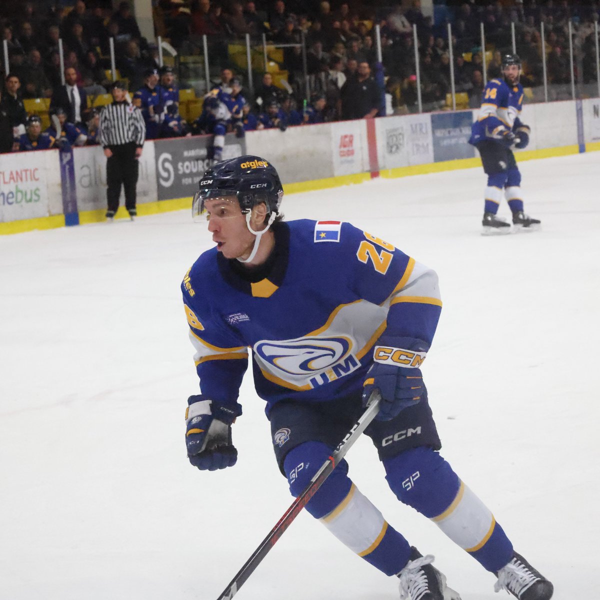 LegerNormand's tweet photo. @aiglesbleus 3 @AcadiaAthletics 1 partie initiale demi-finale 3 de 5 SUA hockey masculin, buts de Thomas Pelletier, Justin Gendron et Jules Boilard. Mika Cyr a 2 passes. Le gardien Olivier Adam 1re étoile. https://t.co/ky5zJdH8tp