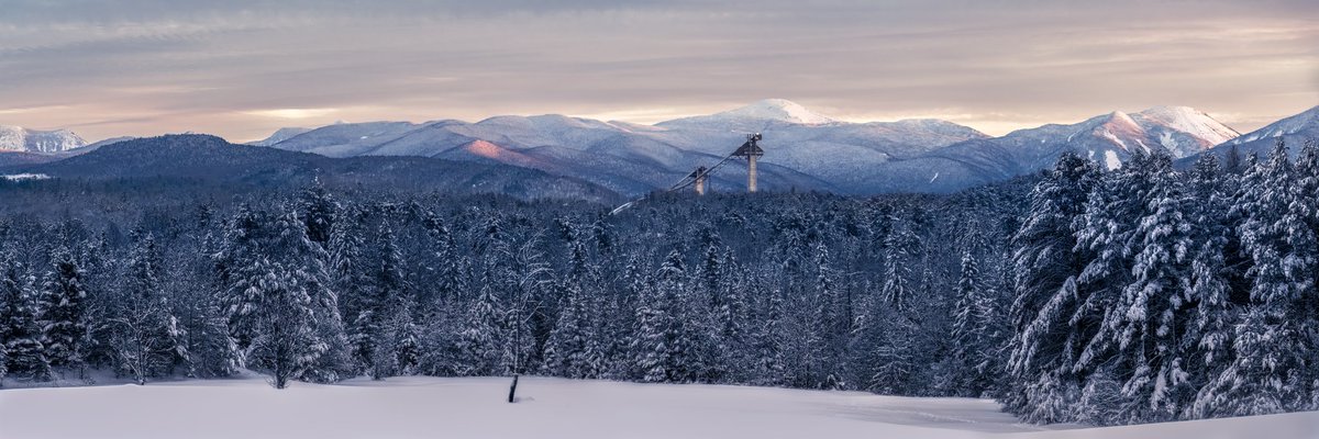 Kyle Barden 🌳 📸 tweet media