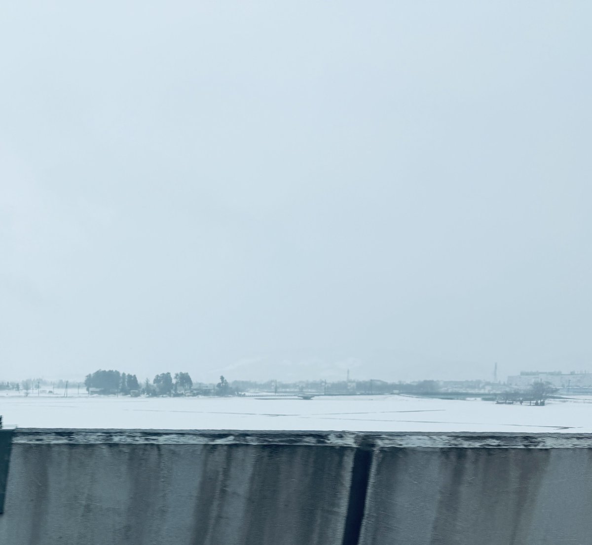 🌟深月ハルカ🌙 🕊️J庭59🍀い05b (@mitsukiharuka8) / Posts / X