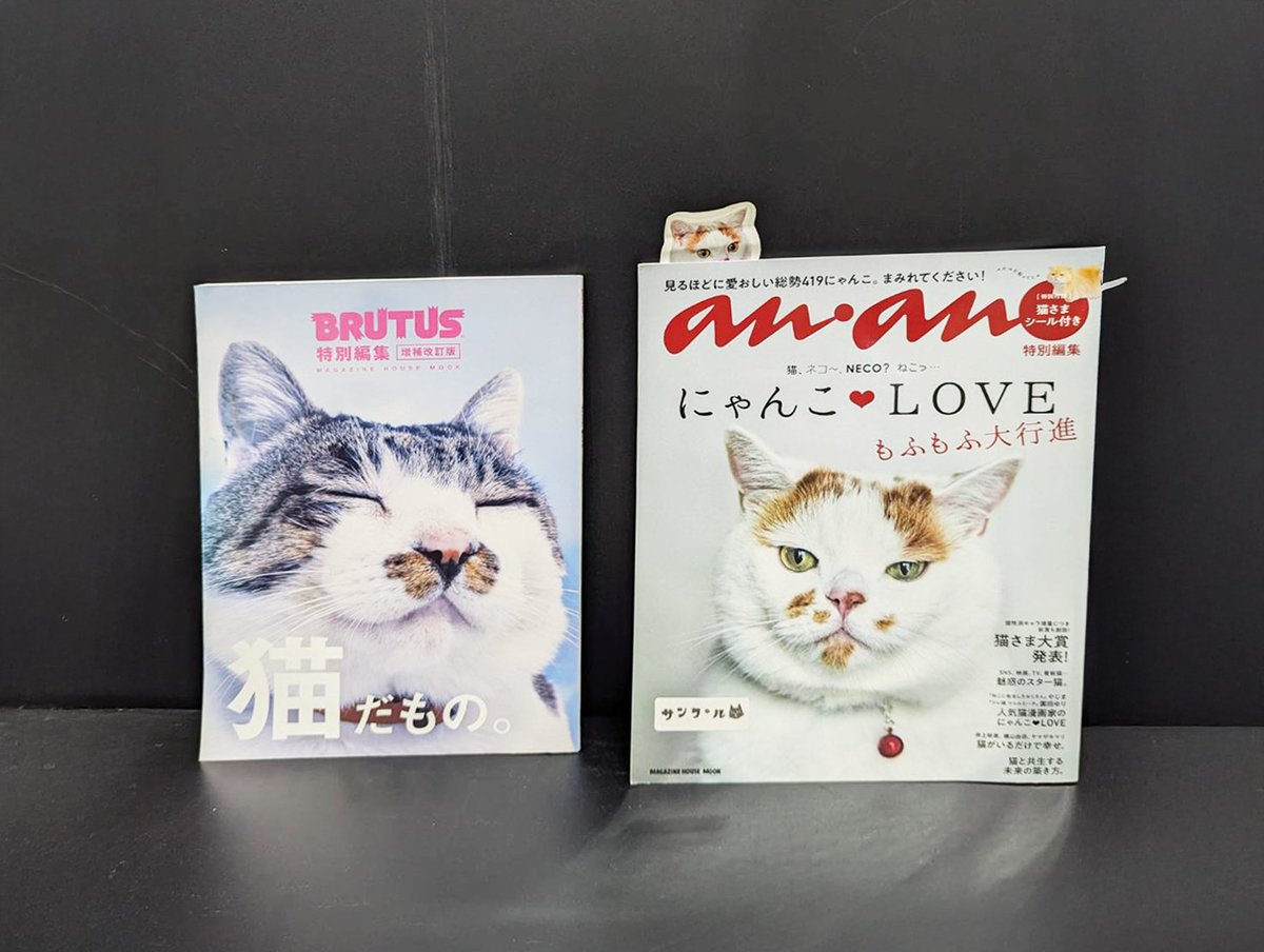 MARCO 🟡写真集「メイ先輩」🟡 (@marco74444) / Posts / X