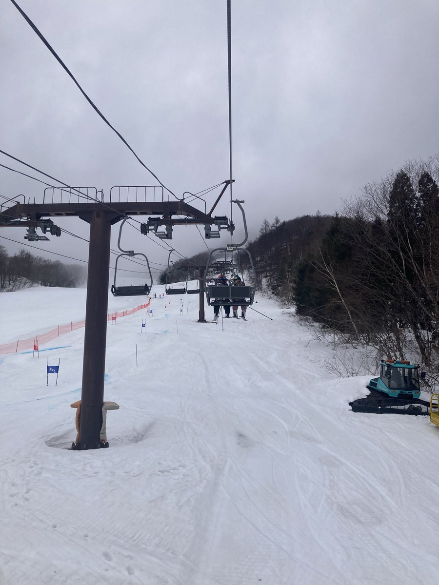 とよたま@ tweet media