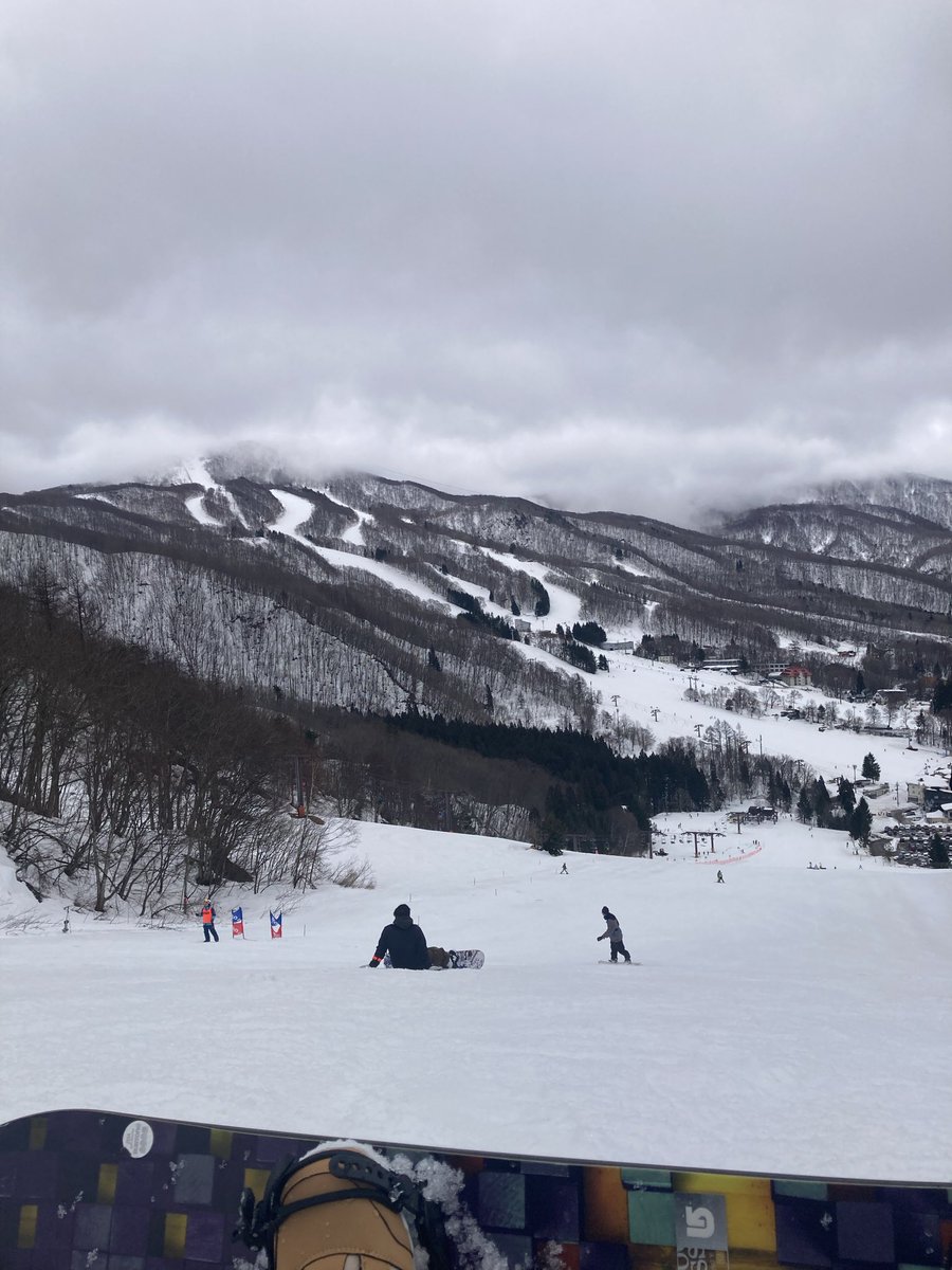 とよたま@ tweet media