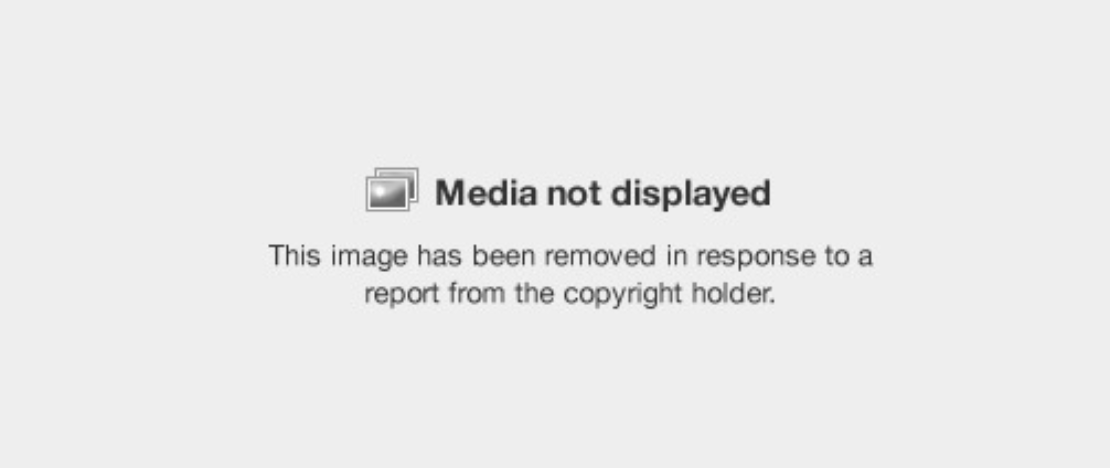 Moochie Bear Research Squad (M.B.R.S.) tweet media