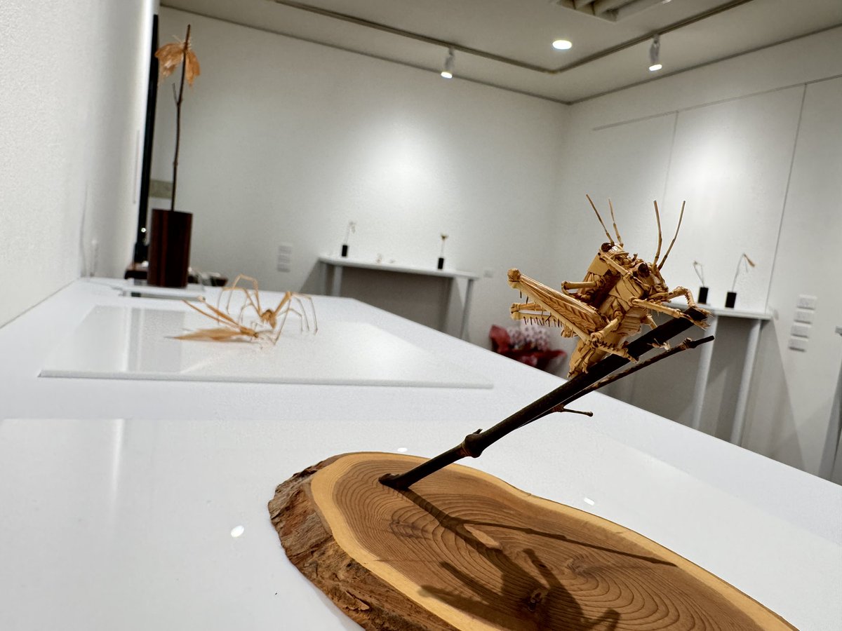 どの作品もずっと見ていられるような、精緻で美しくて生命感に溢れた虫