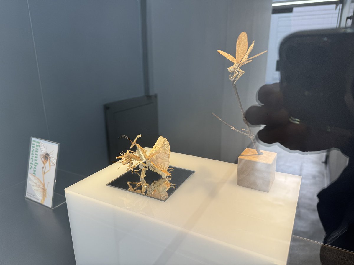 どの作品もずっと見ていられるような、精緻で美しくて生命感に溢れた虫