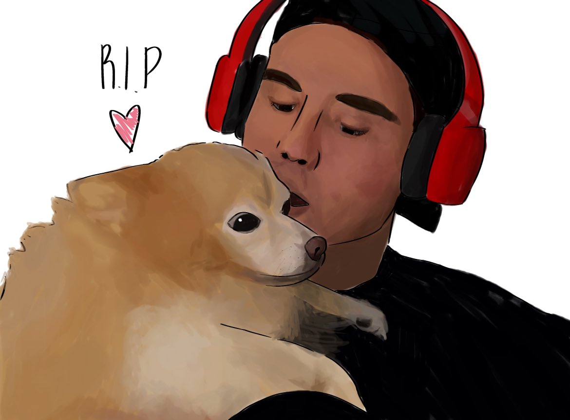 okay here’s ACTUALLY raiden .. but on the bright side both doggies get a picture 🩷🩷 rest in peace to them both