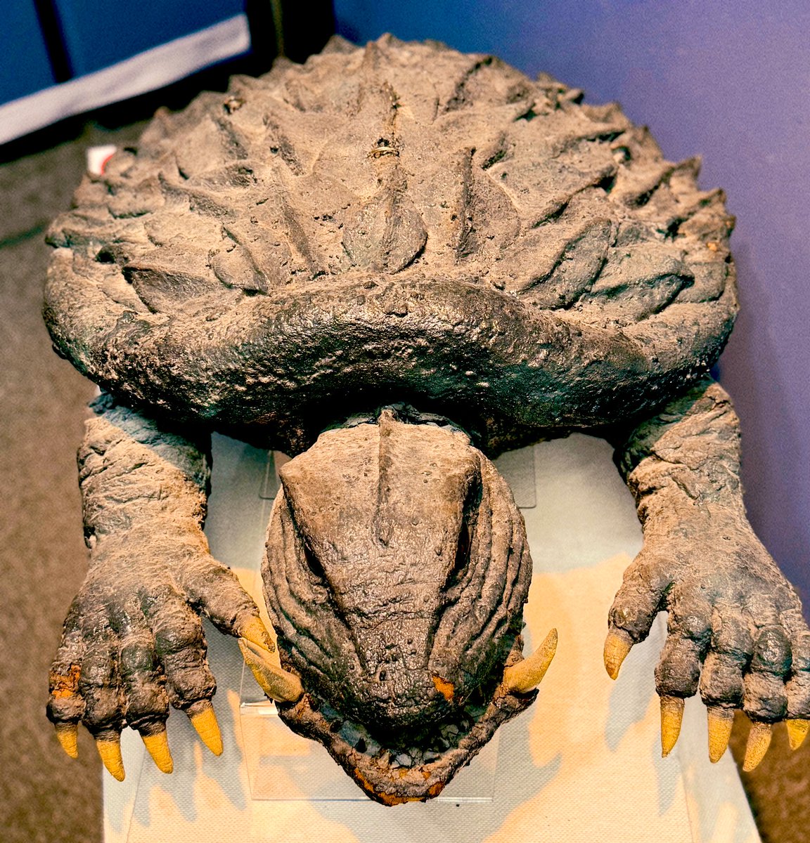 🐢ガメラクイズの正解は… 『宇宙怪獣ガメラ』の飛びガメラ 宇宙怪獣