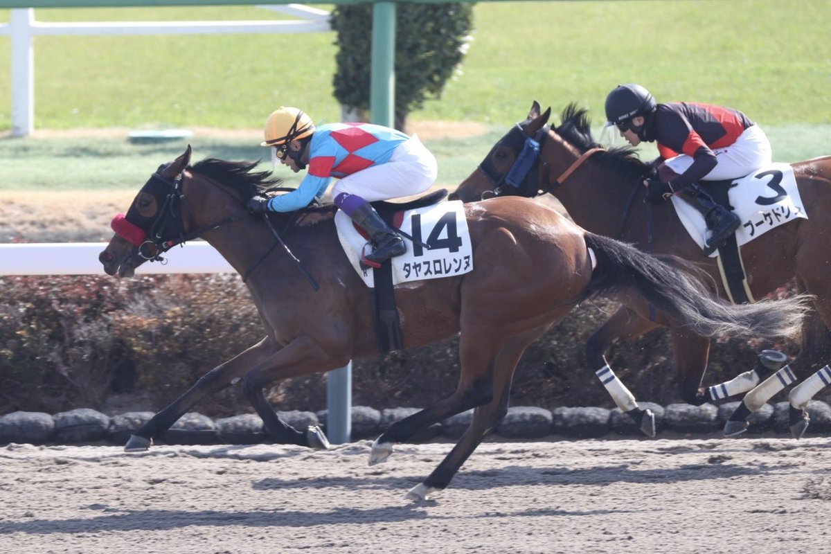 株式会社エクワインレーシング tweet media