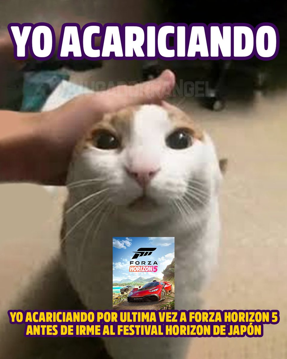 Te guardaré en mi corazón Forza Horizon 5 👋🏼🇲🇽💖

Nos vamos a Forza Horizon 6 🇯🇵🫶🏻✨