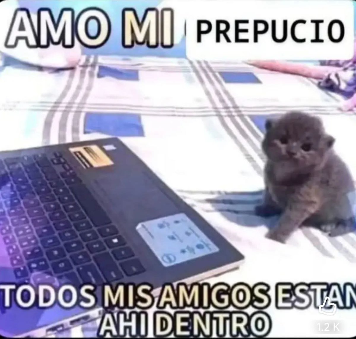 Maestre Mapaxito (@mapaxitouwu) on Twitter photo 