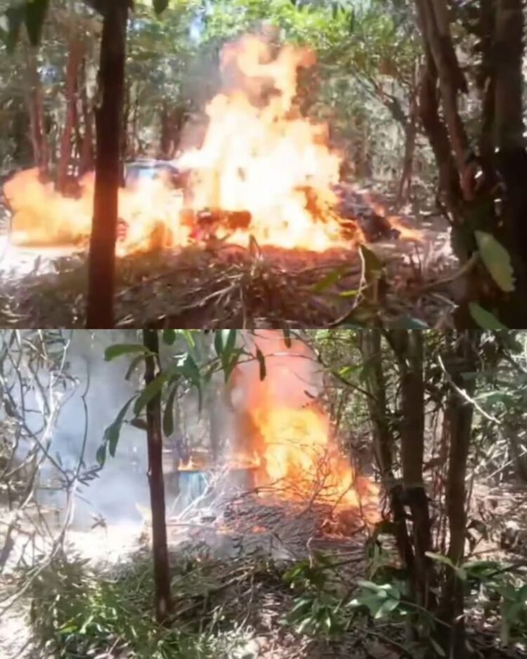 MGoaigoaza's tweet photo. Efectivos de la FANB detectaron y destruyeron un centro de operaciones logístico usado para la minería ilegal en la parroquia Yapacana del estado Amazonas. Incautaron 600 litros de gasolina, motobombas y mangueras.
#27Feb #Venezuela https://t.co/AY4cFGRkIe