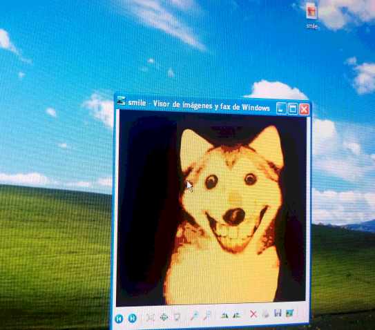 Horror Legends tweet media