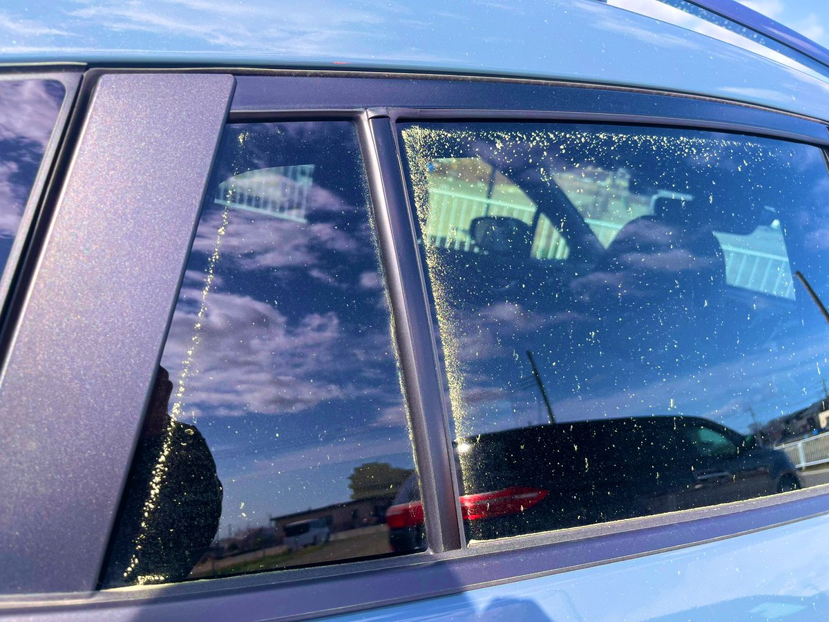 まって花粉やばすぎて引く