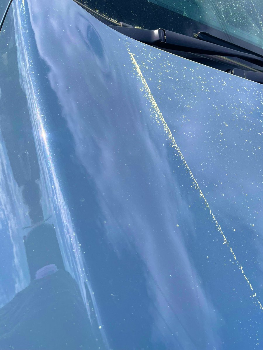 まって花粉やばすぎて引く