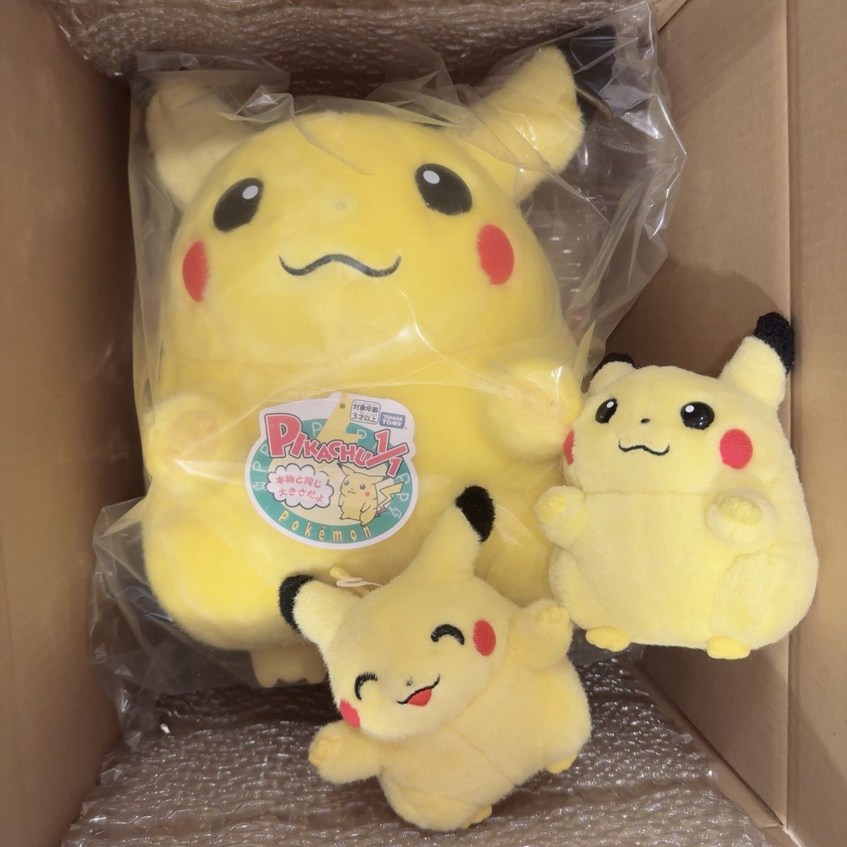 おかえりピカチュウ⁝(⌑ )⁝💛 エディオンさまさまです🙏 かわいいよー
