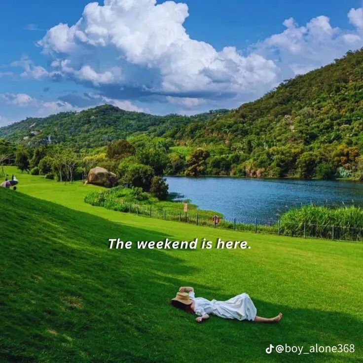 Oscar Phil 💭 tweet media